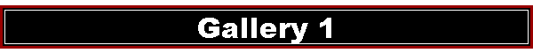 Gallery 1