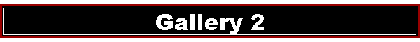 Gallery 2