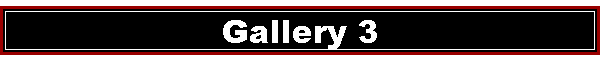 Gallery 3