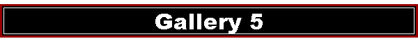 Gallery 5