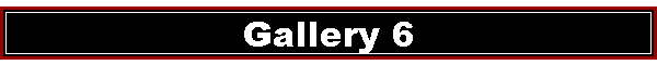 Gallery 6
